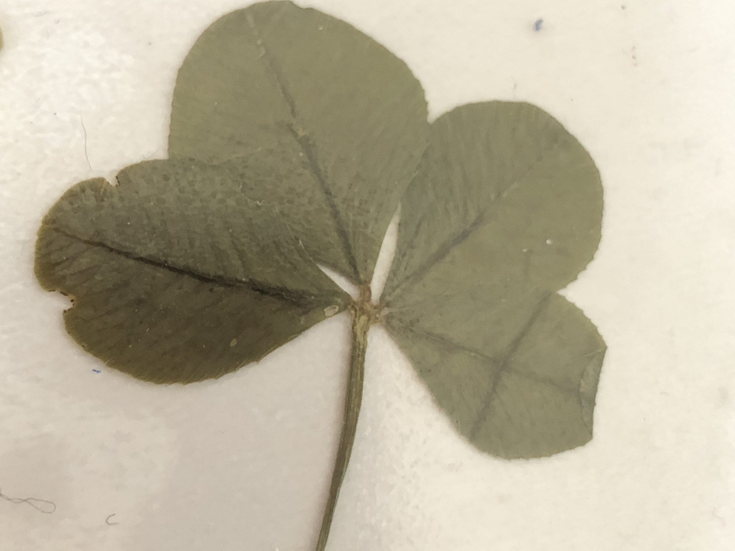 Aus gegebenem Anlass