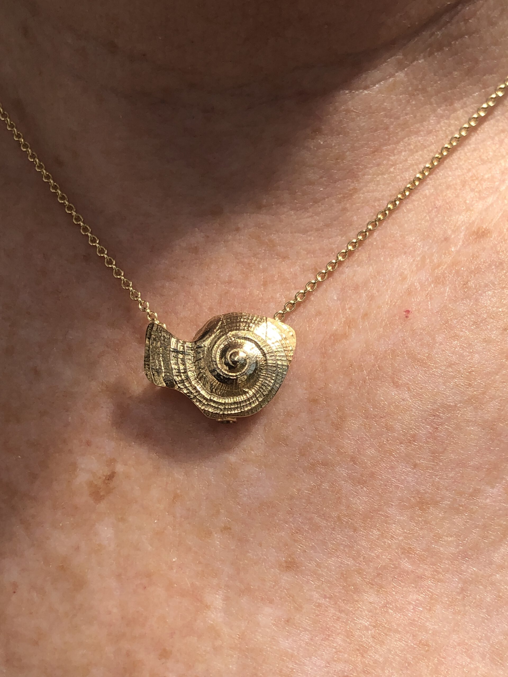 Eine Schnecke als Goldenes Reisetagebuch