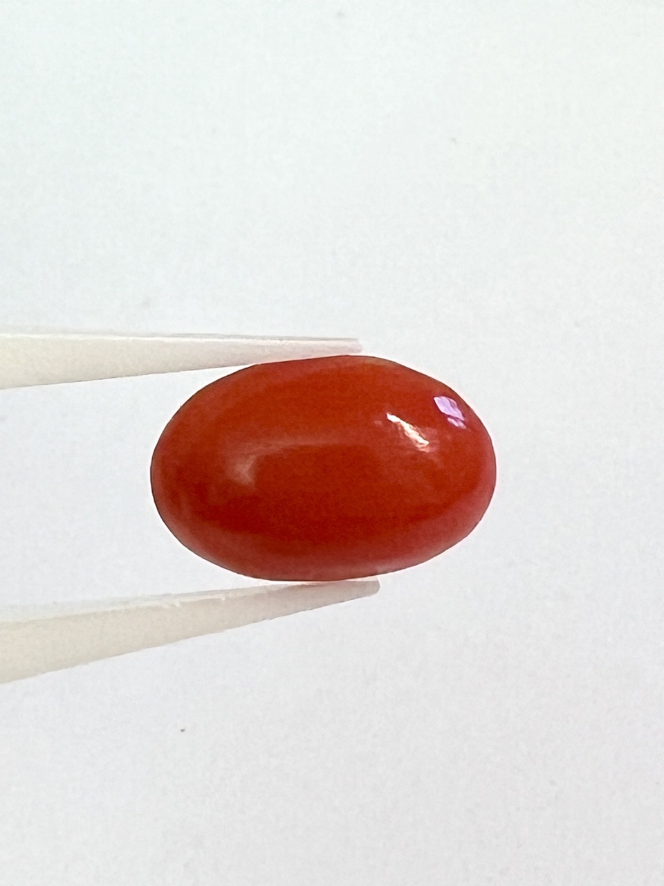 Koralle, Elfenbein, Bernstein 